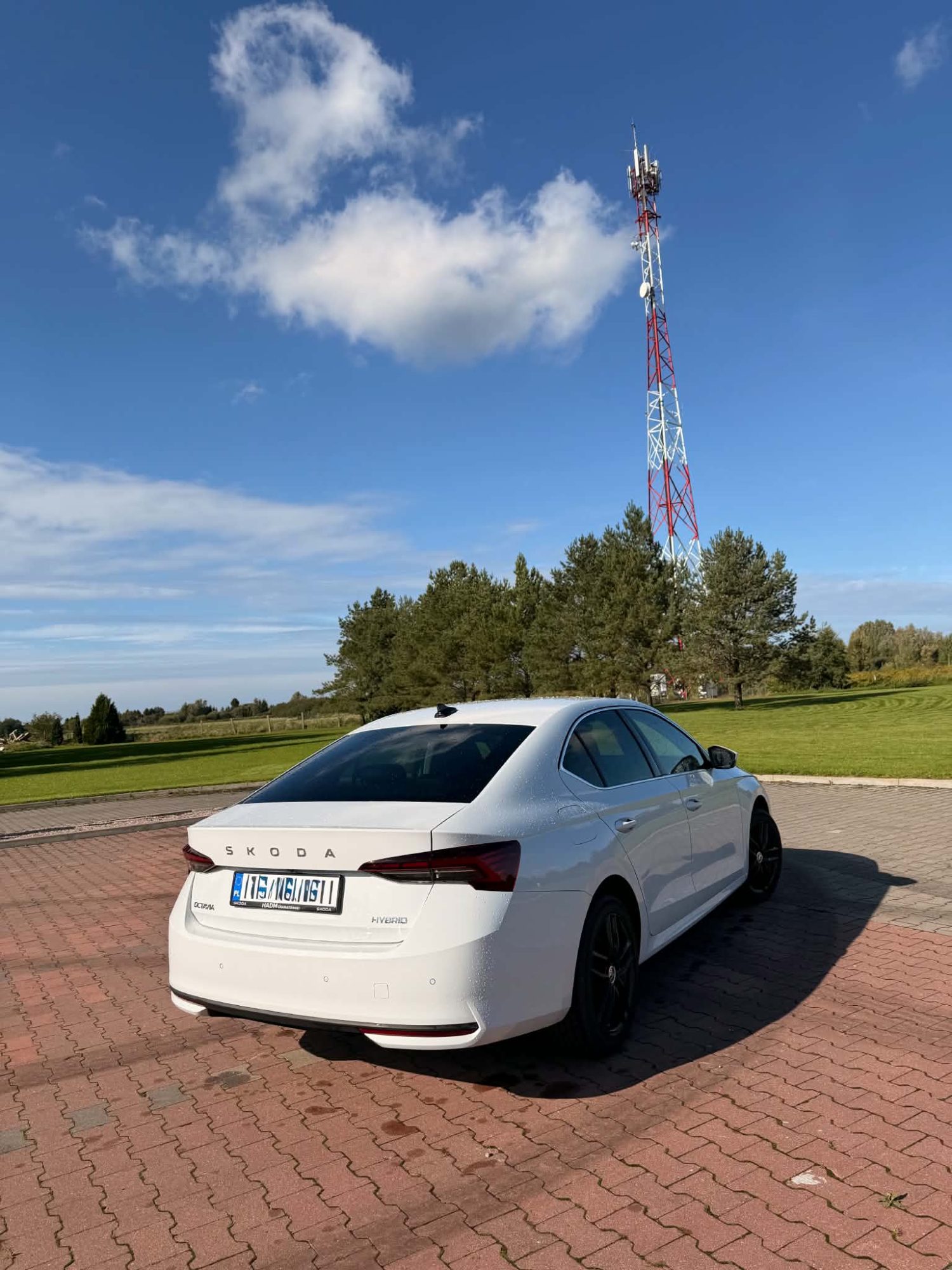 Skoda Octavia 2026 - Cesja w najmie długoterminowym - miniatura 6