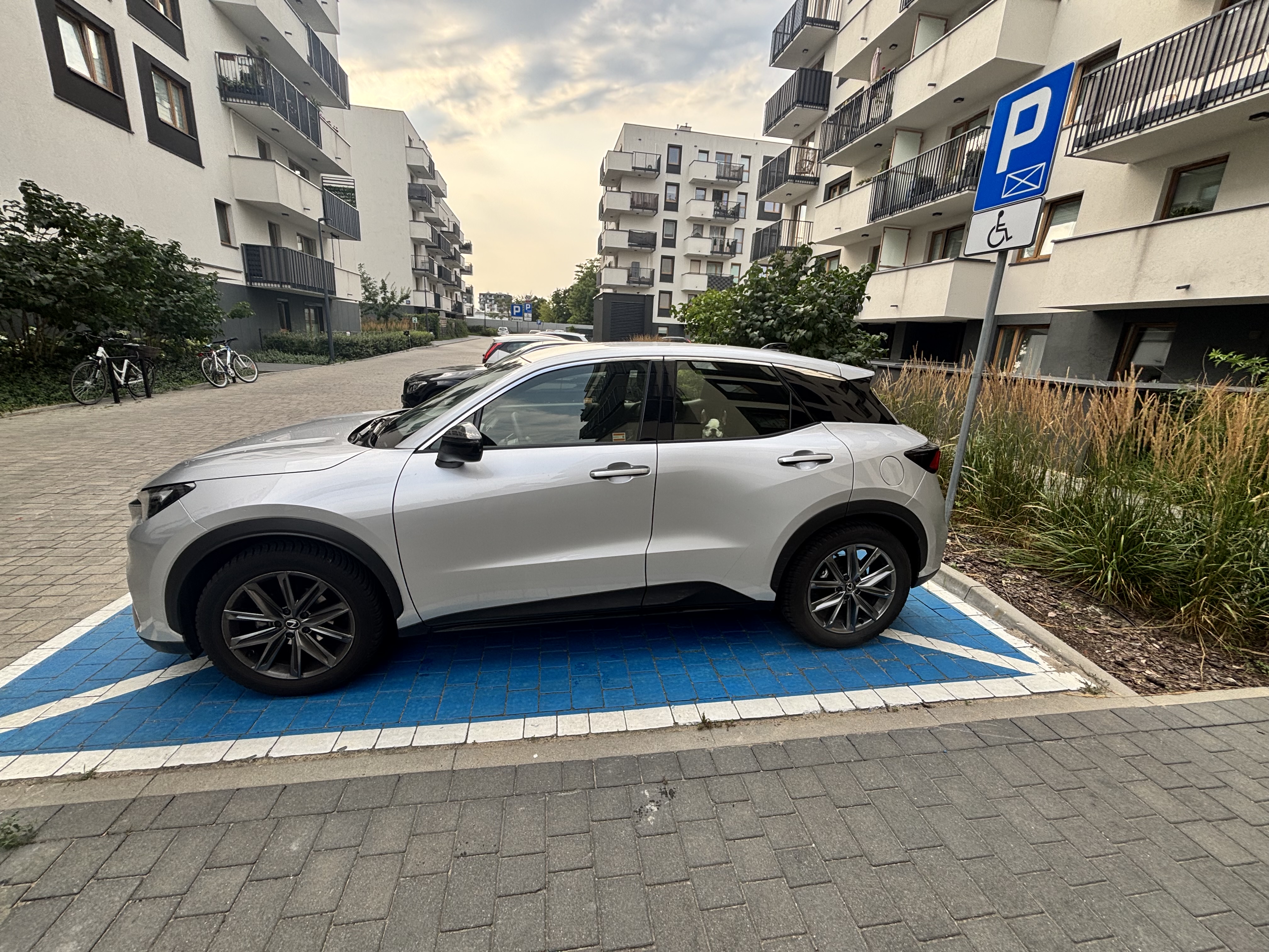Lexus inny 2024 - Cesja leasingu operacyjnego