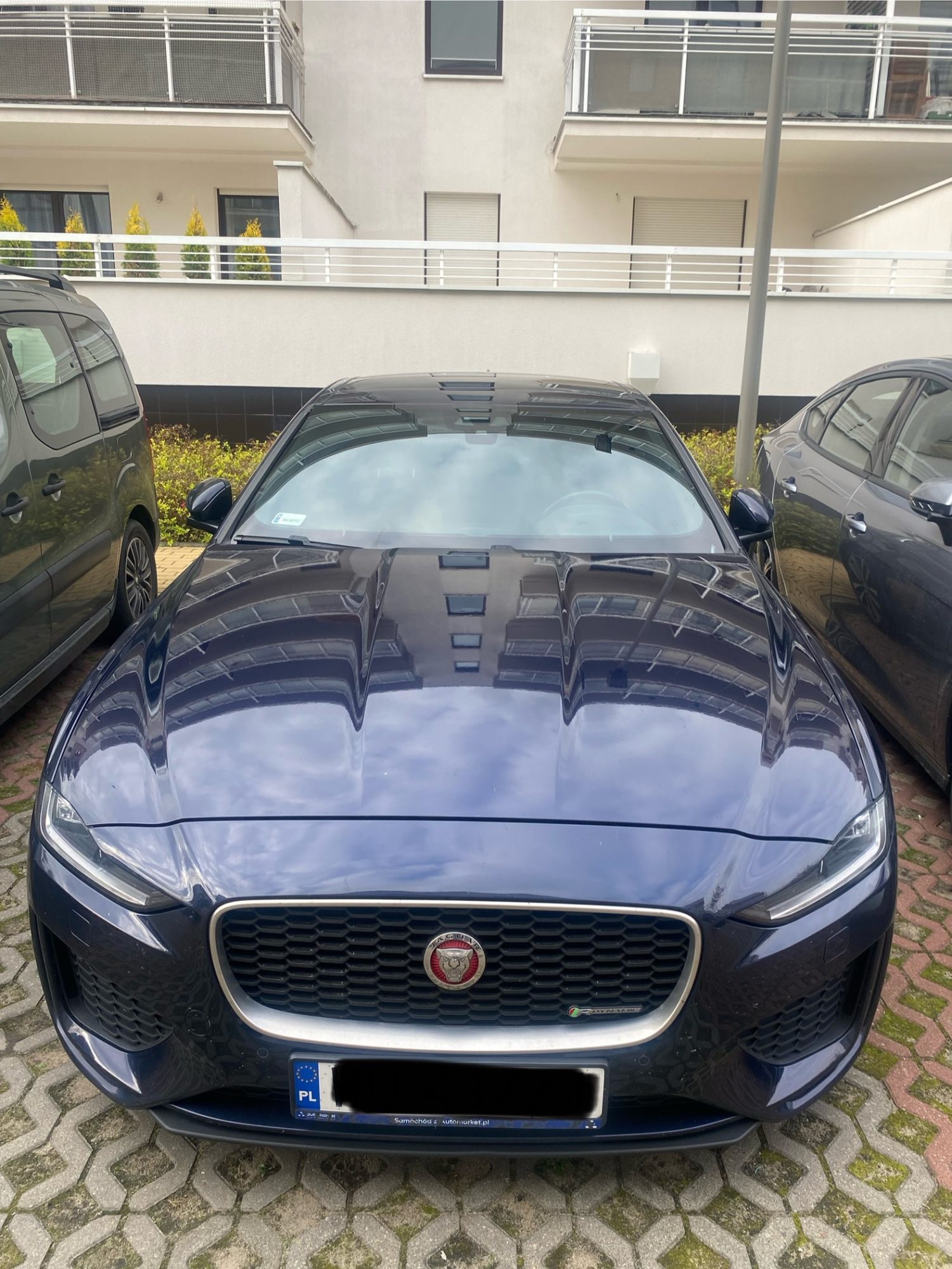 Jaguar XE 2019 - Cesja leasingu operacyjnego - miniatura 3
