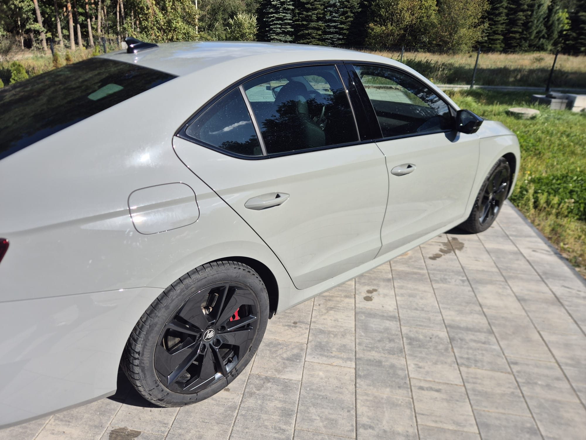 Skoda Octavia RS 2025 - Cesja w najmie długoterminowym - miniatura 2